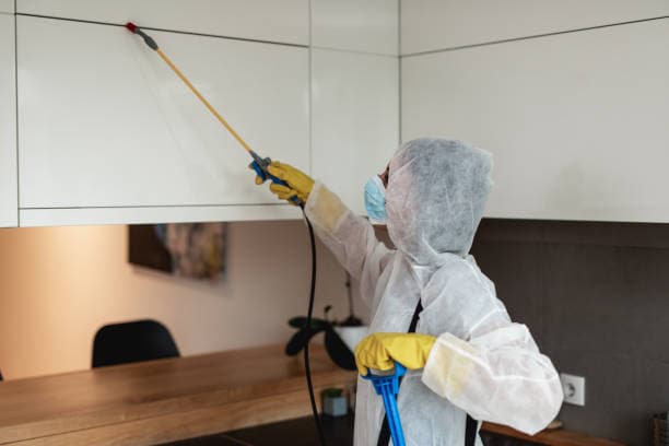 Pest Control Services